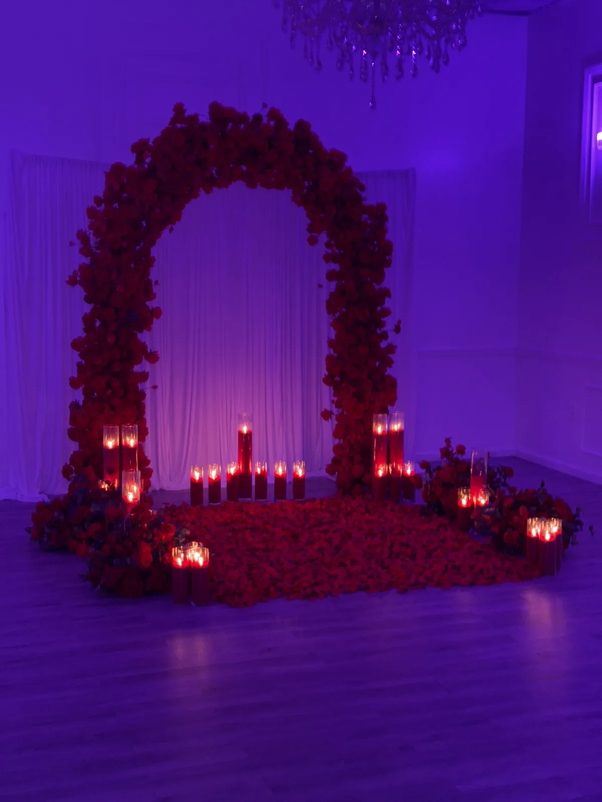 Rose petal floor proposal setup Columbus Ohio